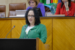 La diputada Luz Belinda Rodrguez, durante una intervencin en el Parlamento.