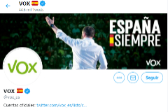 Pantallazo del perfil de Vox en Twitter