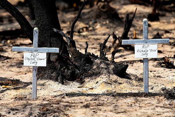 Dos cruces, por dos vctimas mortales de los incendios en Isla Canguro.