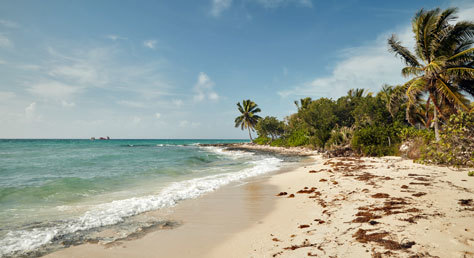 Una de las playas salvajes de las Bahamas.