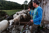 Pastor de ovejas en una fotografa de 2018 en Sabuguido (Orense)
