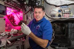 El astronauta Shane Kimbrough junto a la cmara 'Veggie' de la ISS en noviembre de 2016