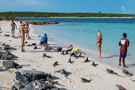 Grupo de turistas alimentando a las iguanas.