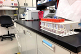 Muestras biolgicas, a la espera de ser analizadas en un laboratorio durante la pandemia de coronavirus.