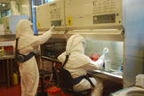 Investigadores del Instituto Malbrn trabajan en el estudio del coronavirus.