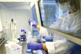 Un tcnico de laboratorio realiza pruebas en un hospital de Berna.