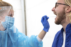 Una sanitaria introduce un hisopo en la boca de un paciente para el test PCR.