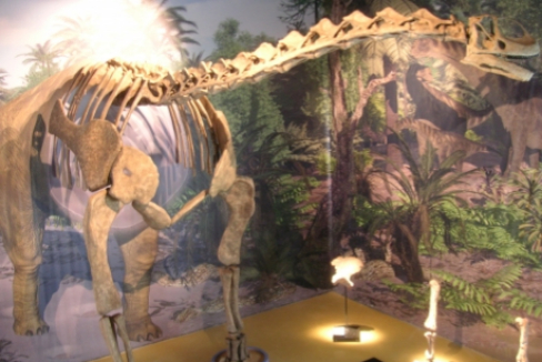 Hallan los restos de un dinosaurio gigante de ms de 20 metros en Teruel