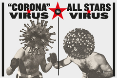 Los otros virus que te pueden proteger contra el coronavirus