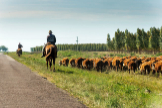 En busca del mejor asado de Uruguay, el pas con cuatro veces ms vacas que habitantes
