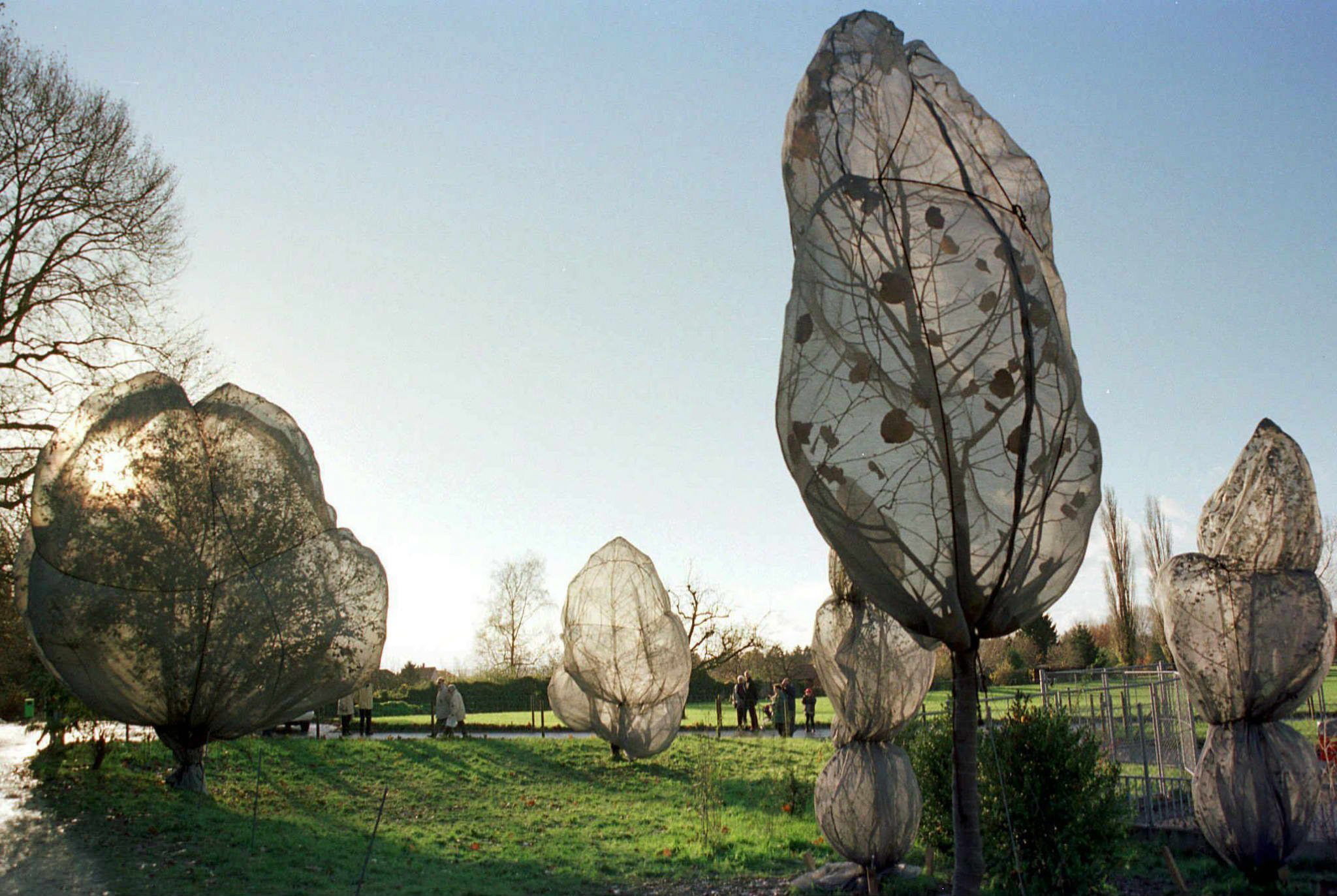 Algunos de los árboles del Berower Parc in Riehen, Suiza, cubiertos por Christo en 1998.