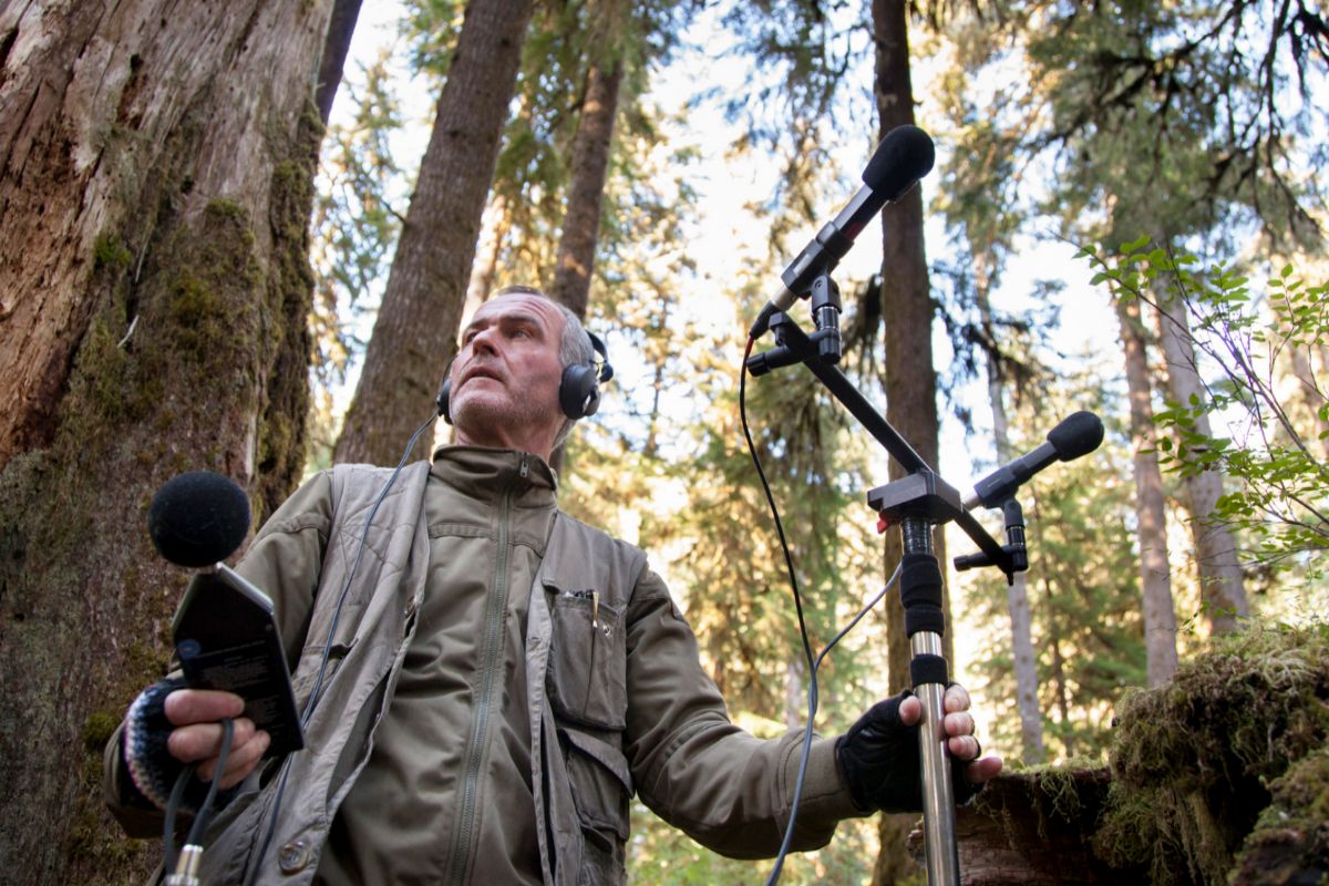 El ecologista acstico Gordon Hempton midiendo los niveles de ruido en la "pulgada" de silencio de la Olympic Mountains, en EEUU