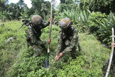 Militares contra las matas de coca de la guerrilla en Colombia: "Es arrancar la violencia de raz"