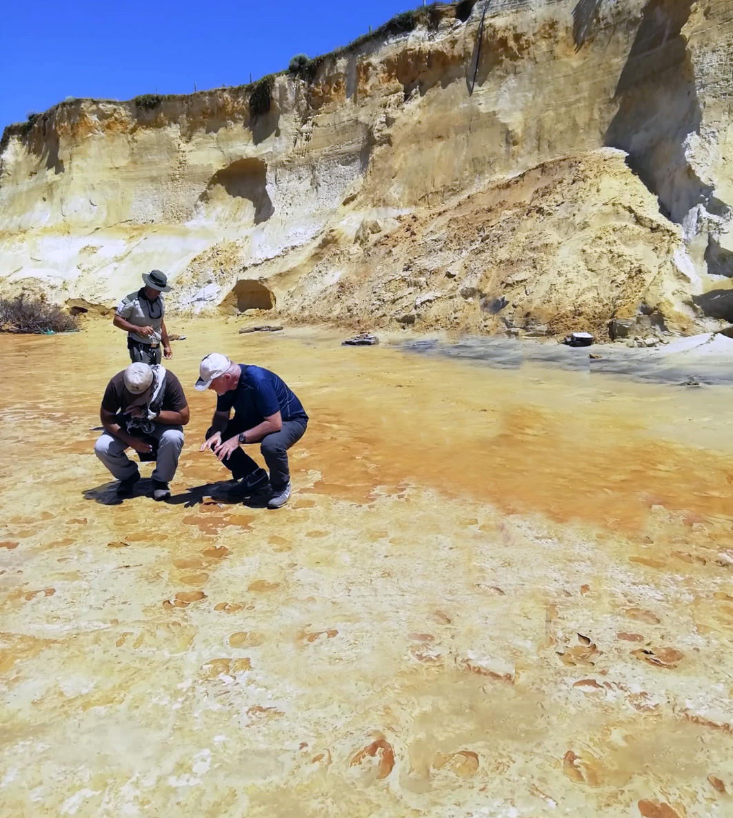 Los investigadores toman fotografas de las huellas fsiles halladas en la playa de Doana.