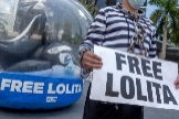Un activista pide la liberacin de Lolita en Miami.
