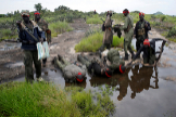 Milicianos sursudaneses beben agua directamente del Nilo.
