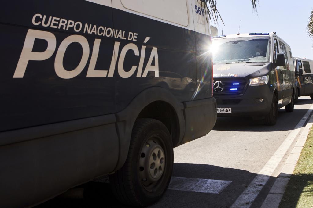 La Polica Nacional detuvo al agresor de Palencia.