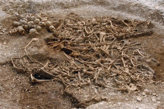 Restos humanos de 50 vikingos enterrados en Dorset (Reino Unido) y cuyo ADN se analiz en este estudio
