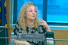 Captura de pantalla de una intervencin de la ex presidenta de Infancia Libre, Mara Sevilla, en el Congreso.