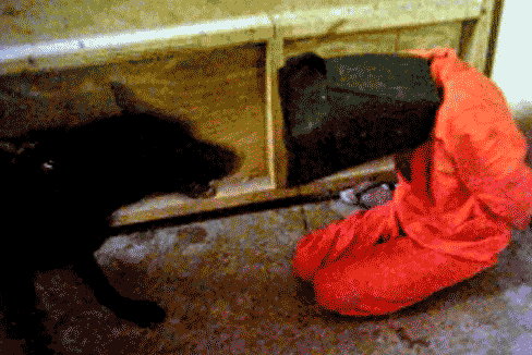 El fotgrafo de los torturados de Abu Ghraib: "Todos sufren el mismo trauma que hace 15 aos"