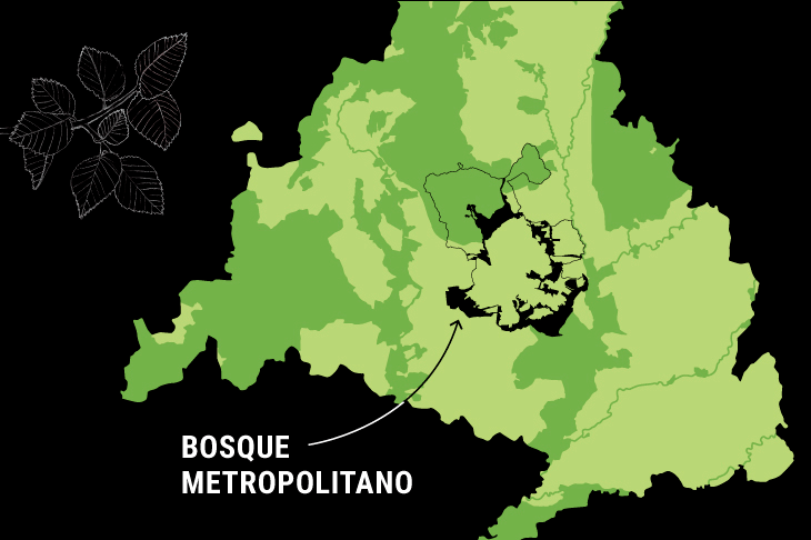 Bosque Metropolitano: As ser la M-40 verde que rodear la capital