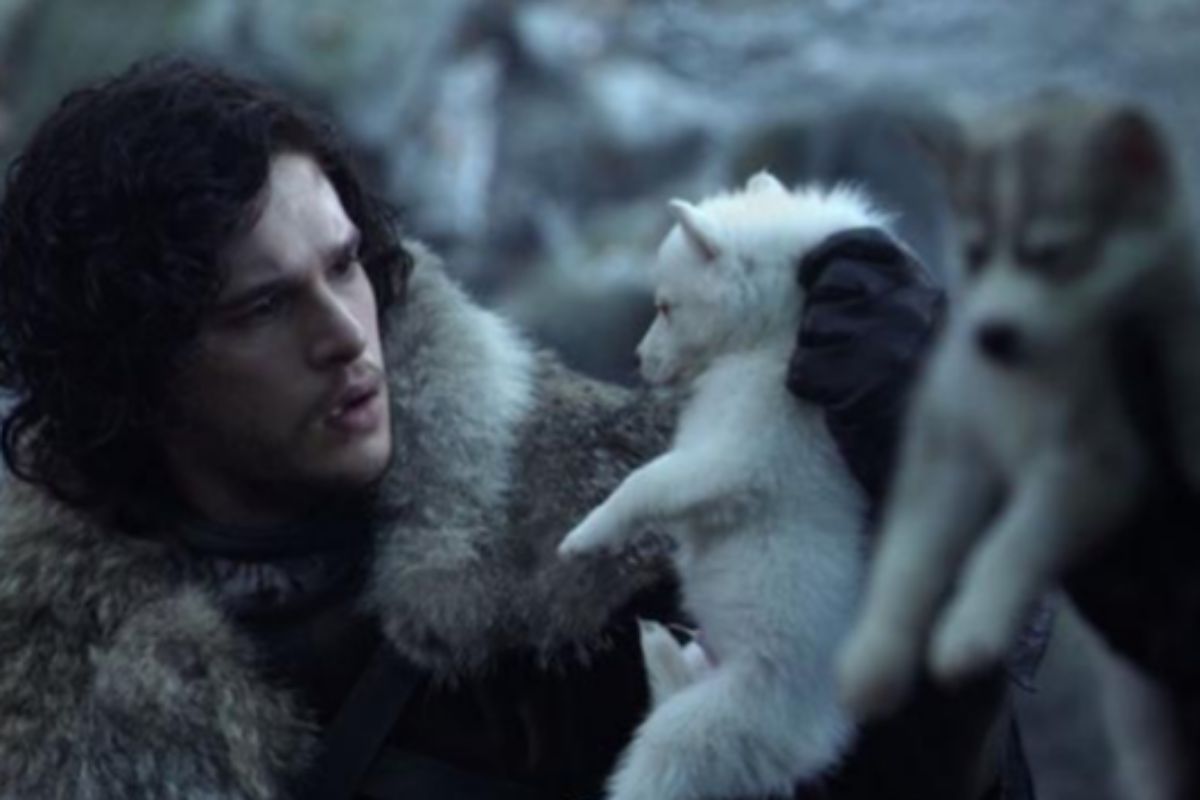 Fotograma de la serie de 'Juego de Tronos', con Jon Snow cuando encuentra a su lobo huargo