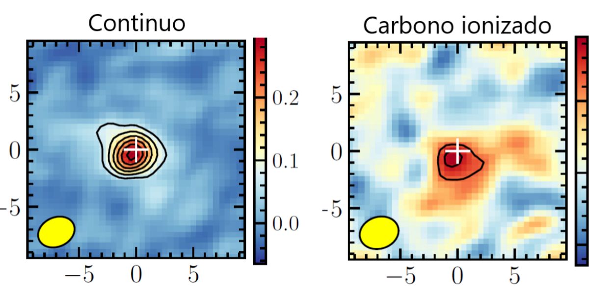 El cusar J013-1806 observado con ALMA.