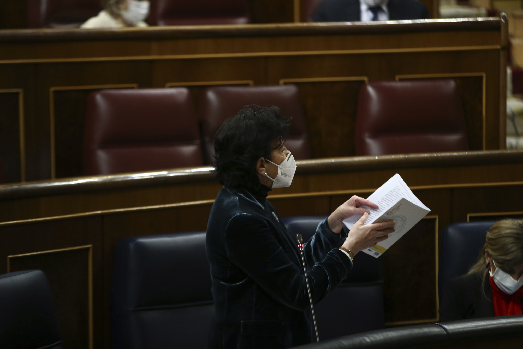 La ministra Isabel Cela en el Congreso, con la Constitucin en la mano.