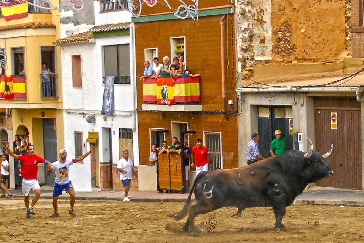 Aficionados citan a un toro durante un festejo taurino en la provincia.