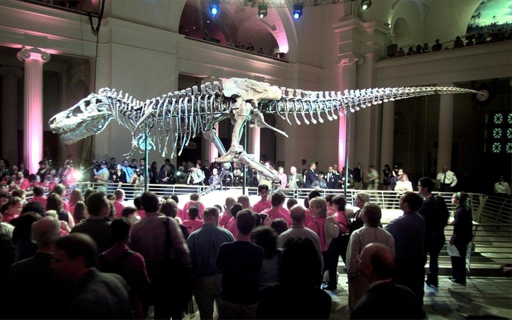 El fsil de Tiranosaurio rex ms completo que se ha encontrado