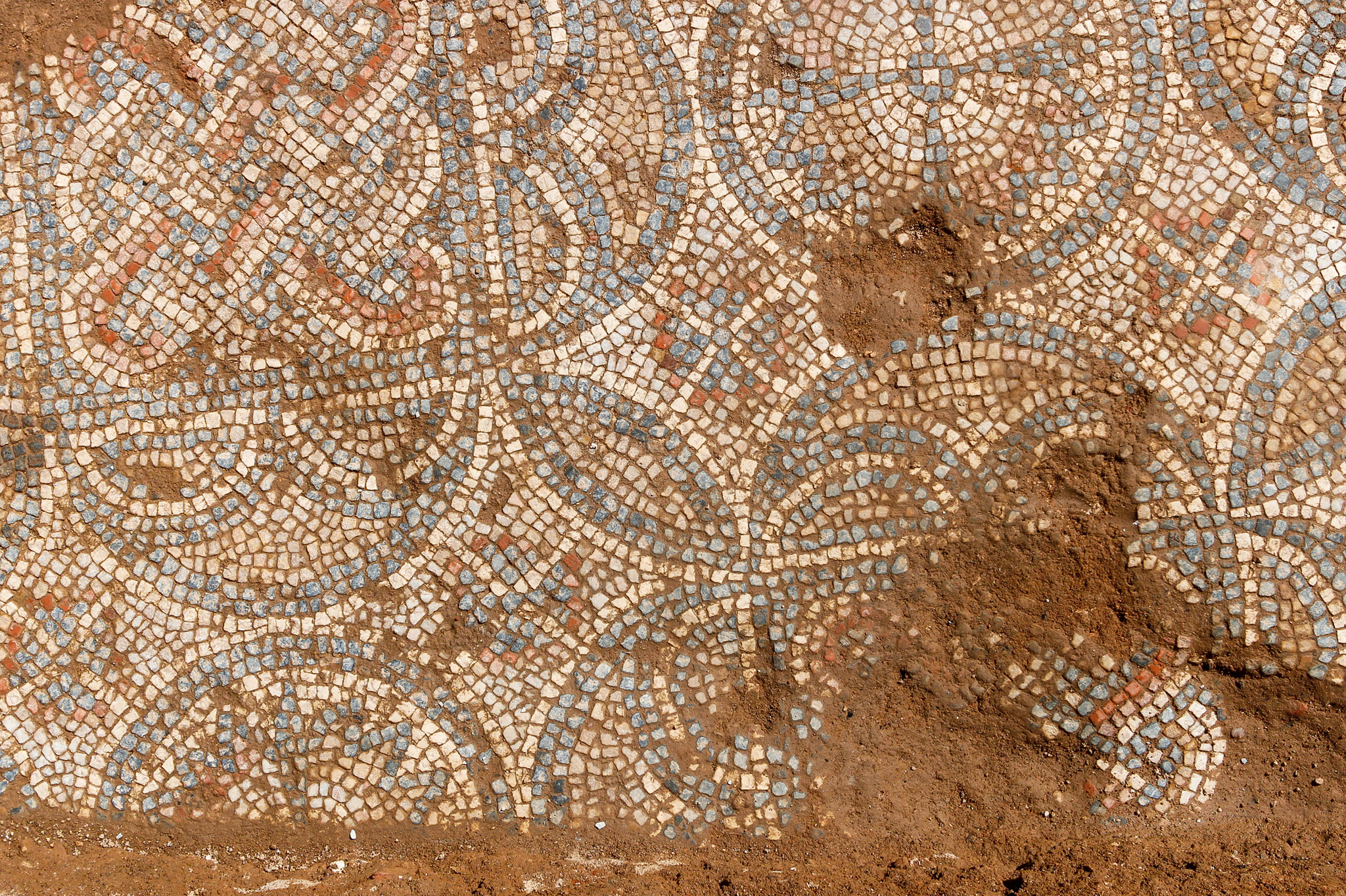 El mosaico romano descubierto en Mrida