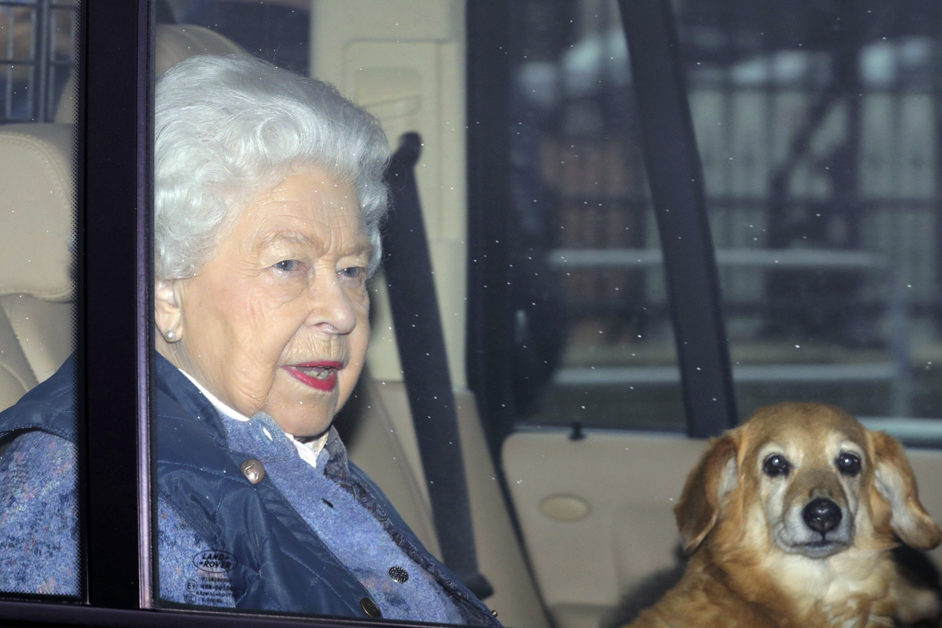 Isabel II, con uno de sus perritos, en una imagen de marzo de 2020.