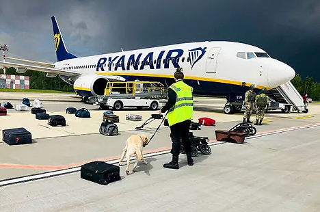 Perros inspeccionan el vuelo de Rynair donde volaba