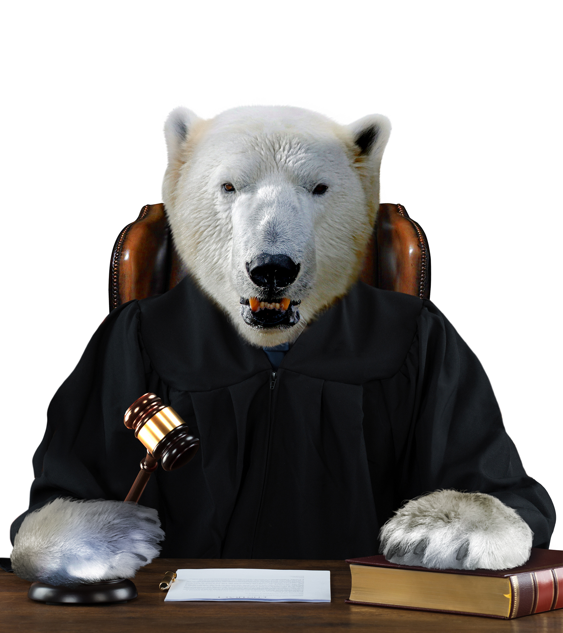 La guerra contra el cambio climtico llega a los tribunales: "No se necesita ser jurista para ver que es injusto"