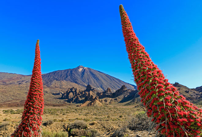 El volcn Teide de Tenerife.