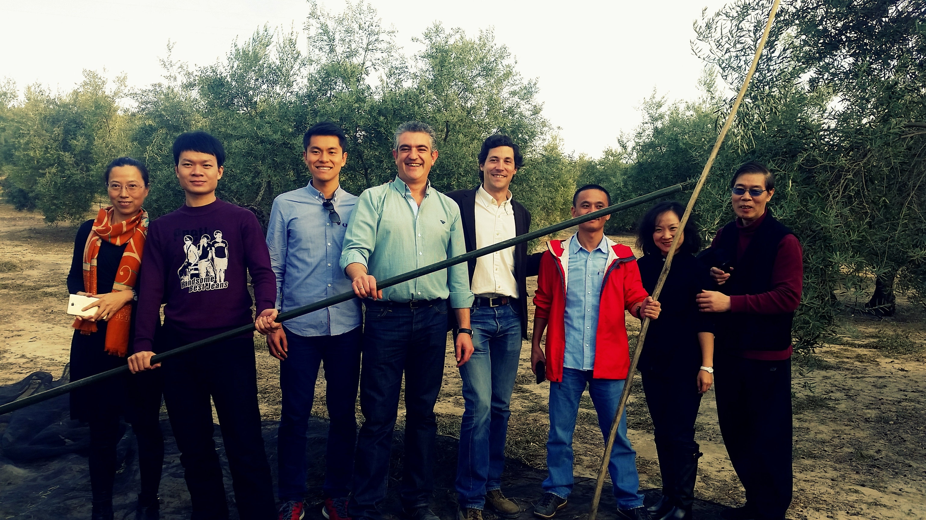 Un grupo de turistas realiza una visita guiada en un campo de olivos en Jaén