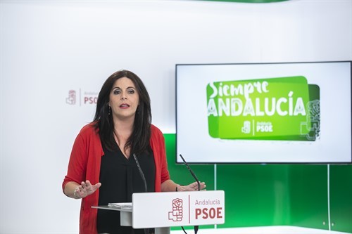 La nueva portavoz del PSOE en el Parlamento andaluz, ngeles Ferriz.
