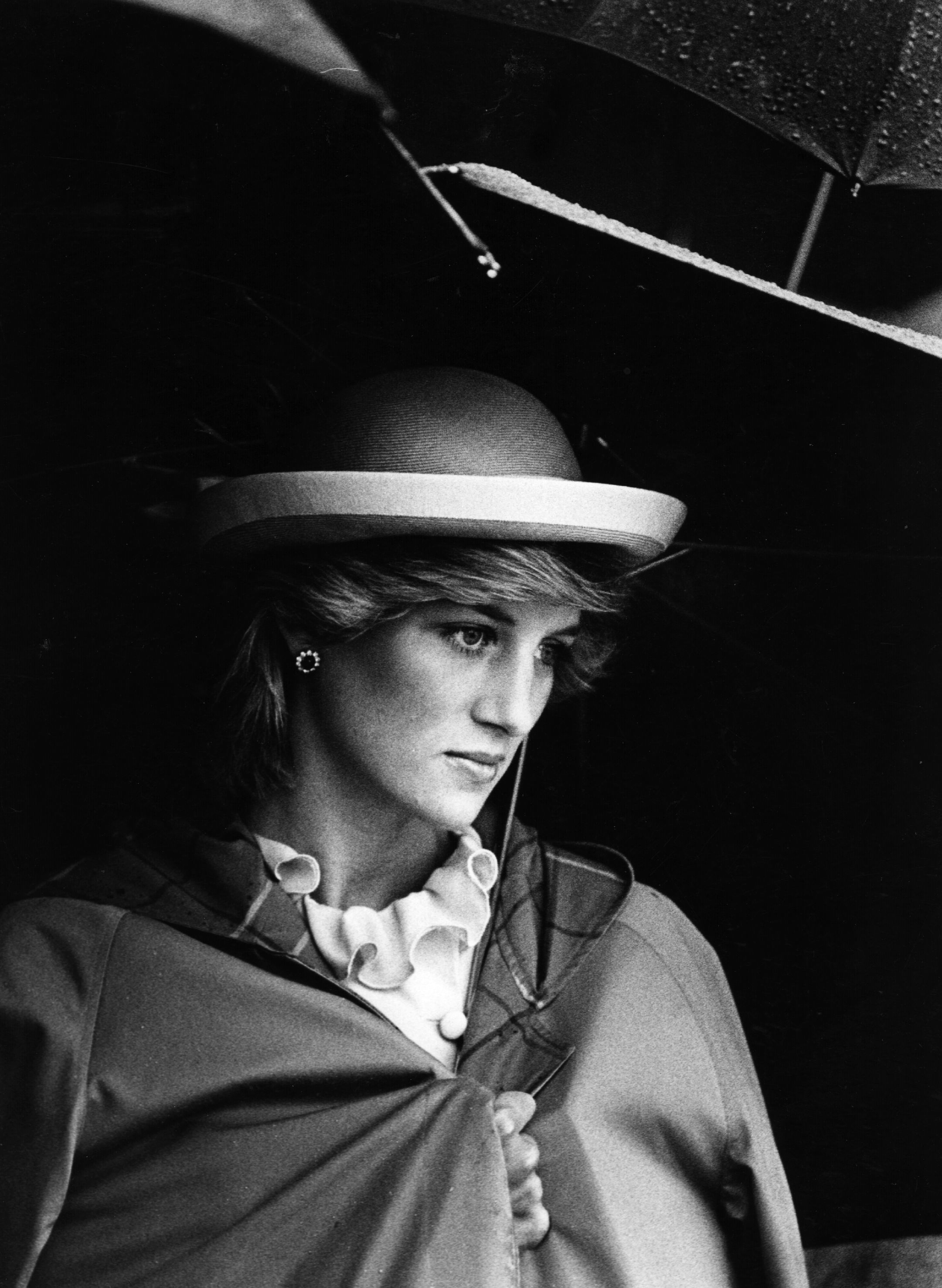 Diana de Gales en un retrato de los aos 90.