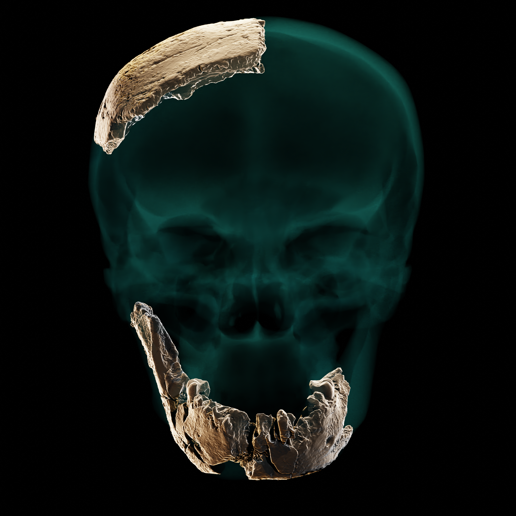 Reconstrucción de la cabeza del Homo de Nesher Ramla con los restos encontrados
