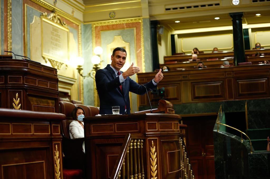 Pedro Snchez, en el Congreso de los Diputados.