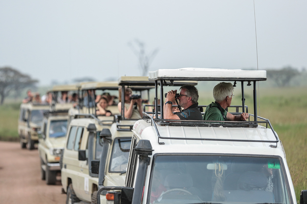Turistas en cuatro por cuatro observan animales en la reserva del Serengueti.
