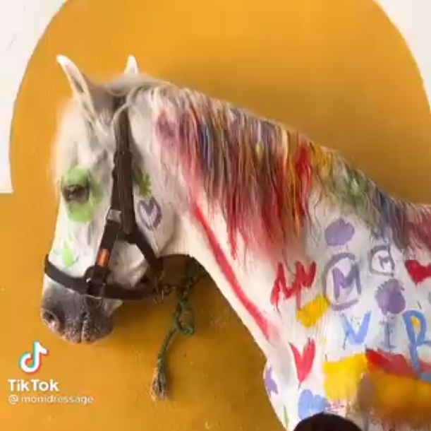 El caballo pintado por los nios en el cursillo de verano.