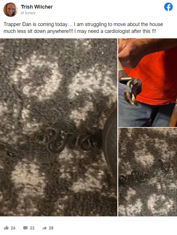 La mujer comparti fotos de las serpientes en su Facebook.