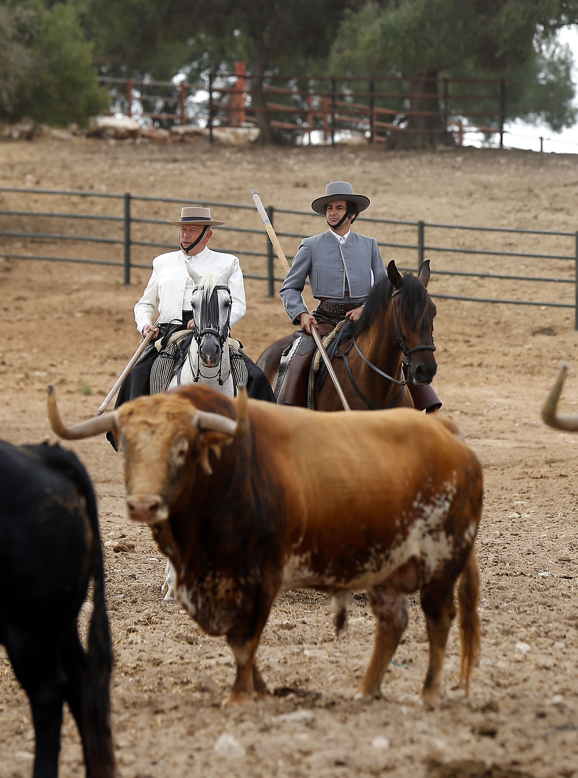 lvaro Domecq, ante el compromiso de Morante en Huelva: "Los toreros se tienen que acostumbrar a matar de todo"