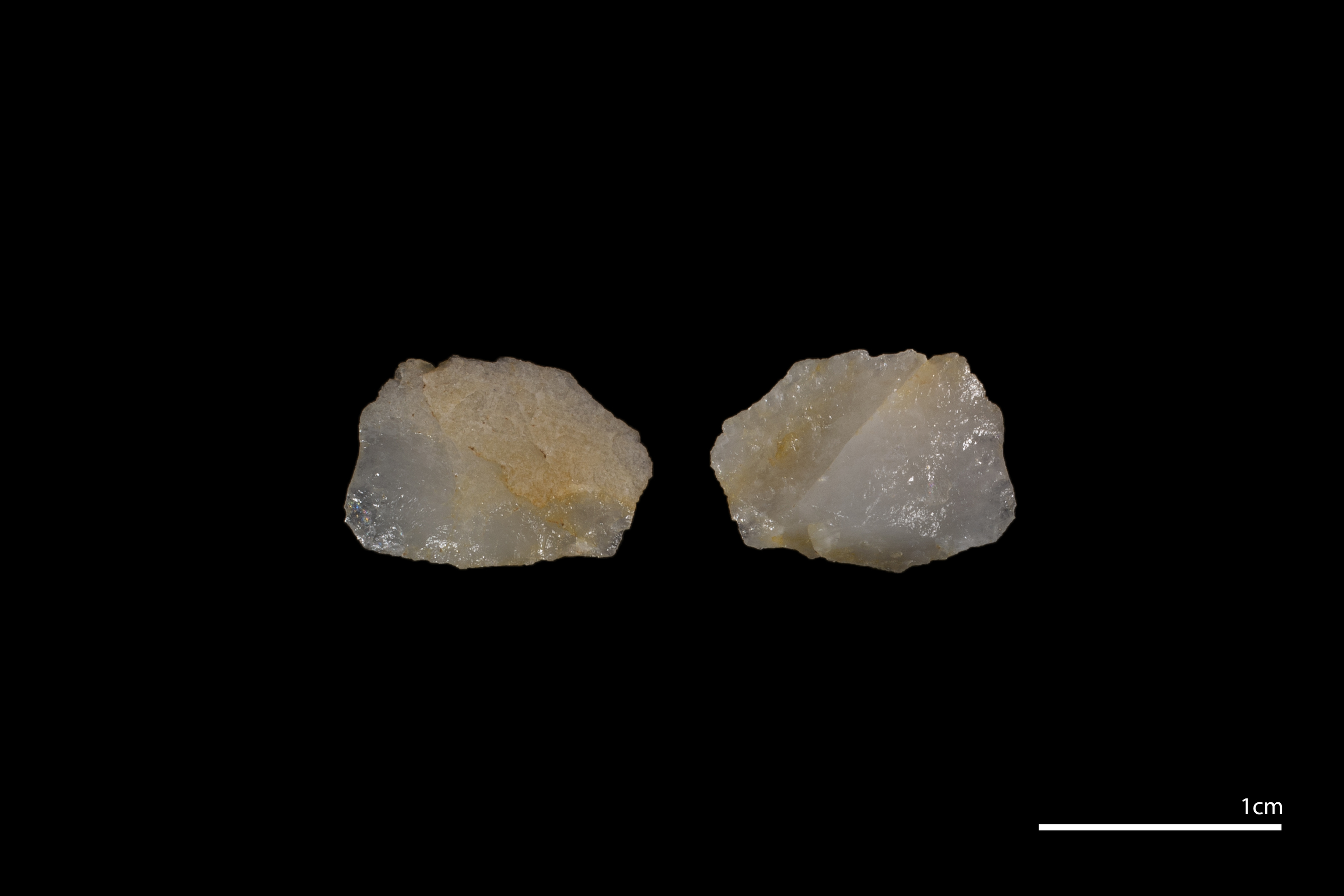 La lasca de cuarzo hallada en la Sierra de Atapuerca