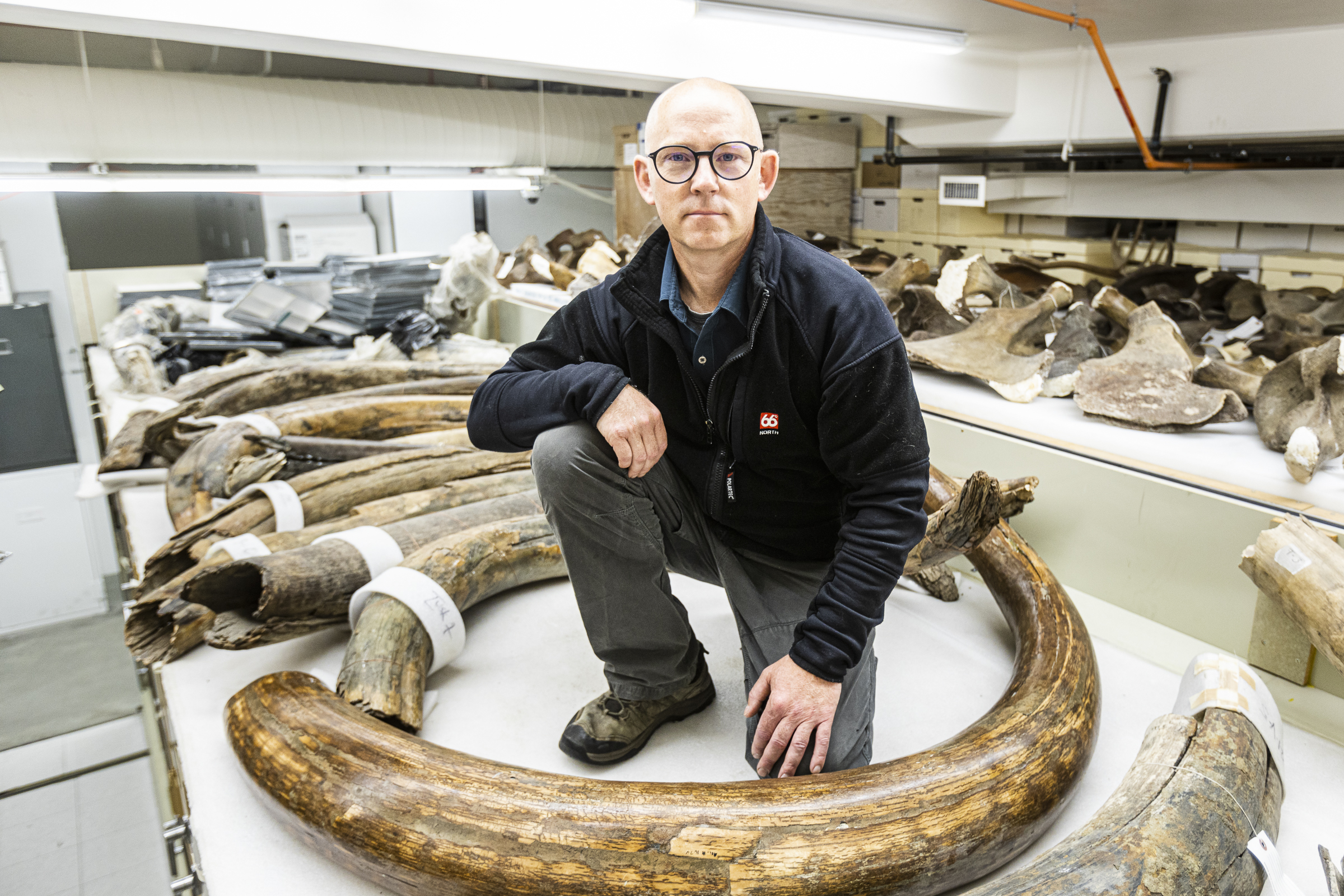Mat Wooller posa junto a algunos colmillos de mamut del museo de la Universidad de Alaska