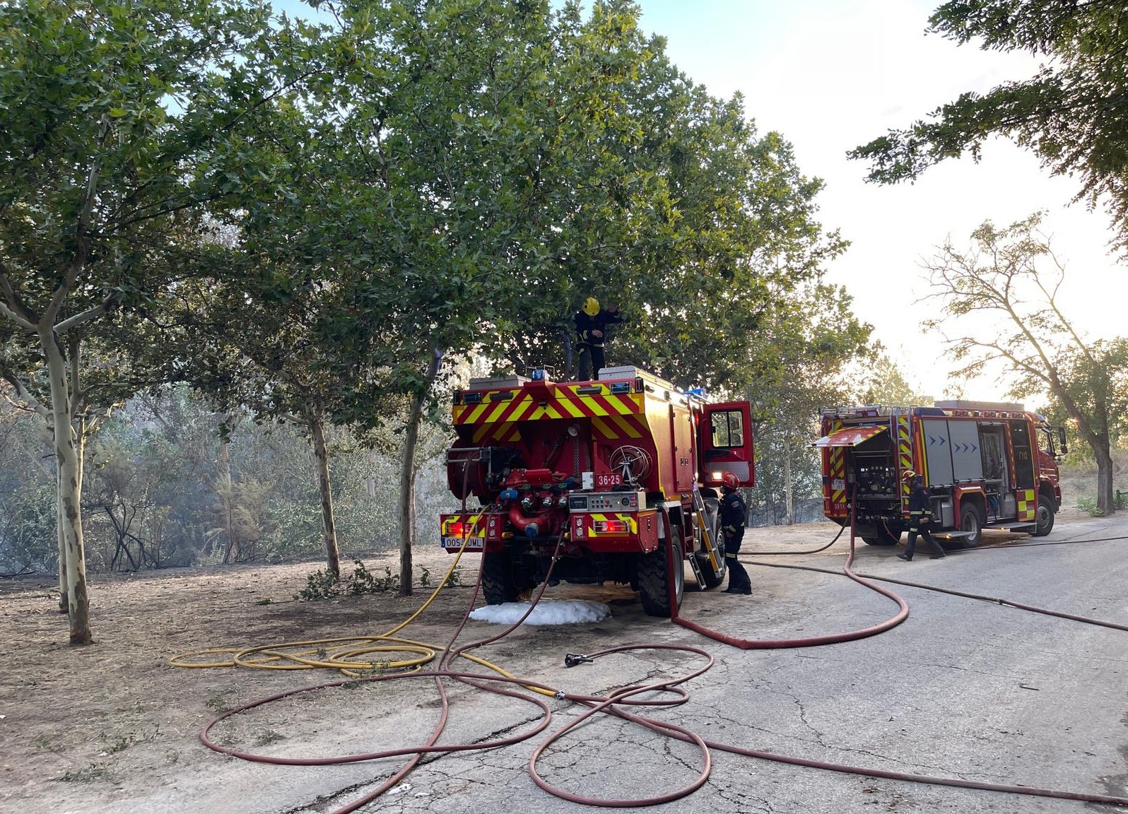 Dotaciones de bomberos apagando el incendio de Batres.