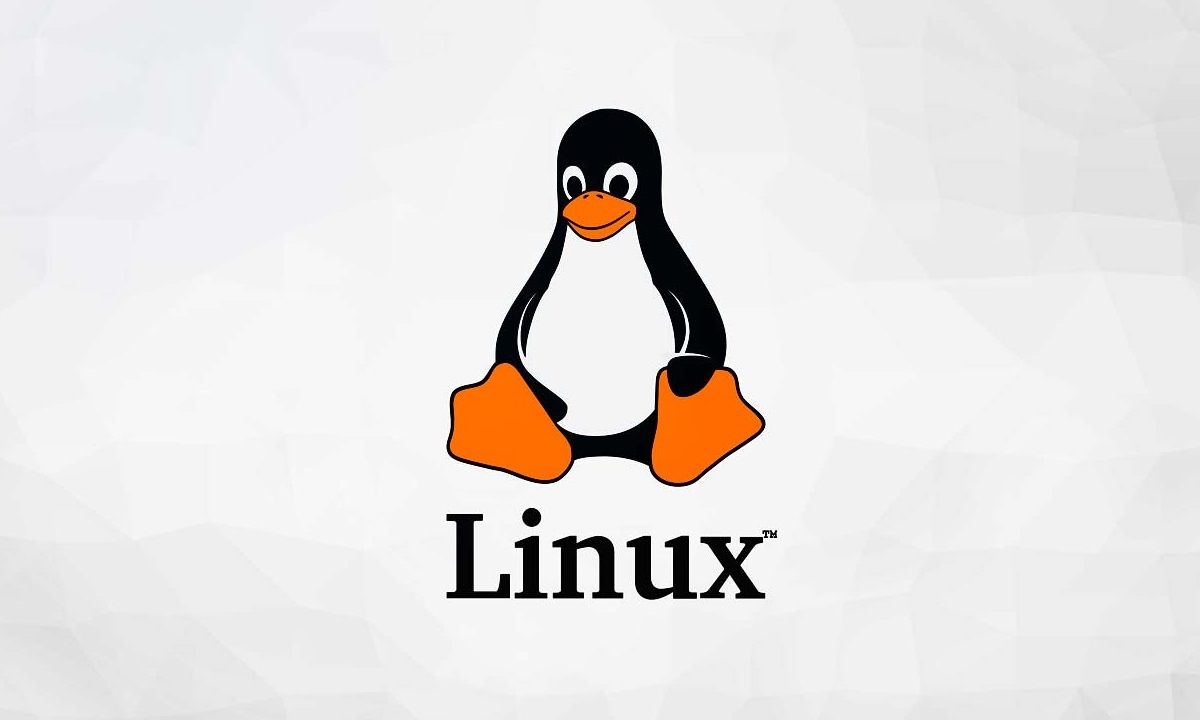 30 años de Linux, la eterna alternativa a Windows | Tecnología