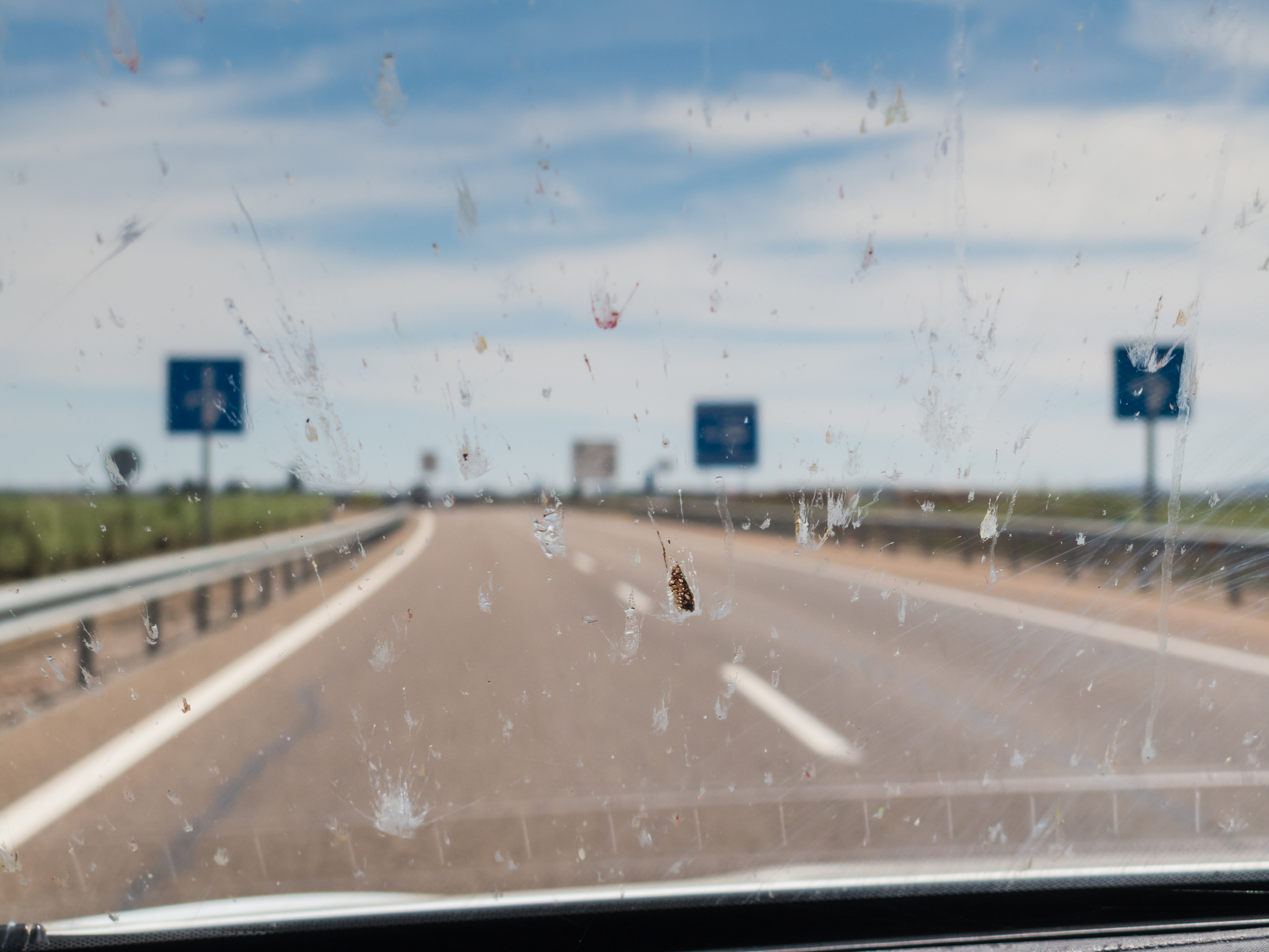 El 'fenmeno del parabrisas': por qu cada vez se estrellan menos insectos en el frontal del coche?