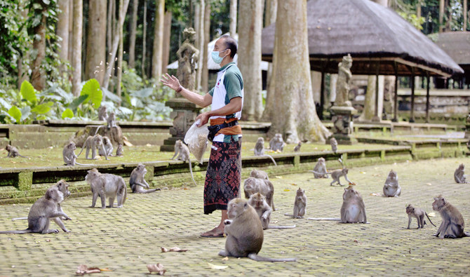 El gerente del parque de Sangeh, en Bali, alimenta a los monos.